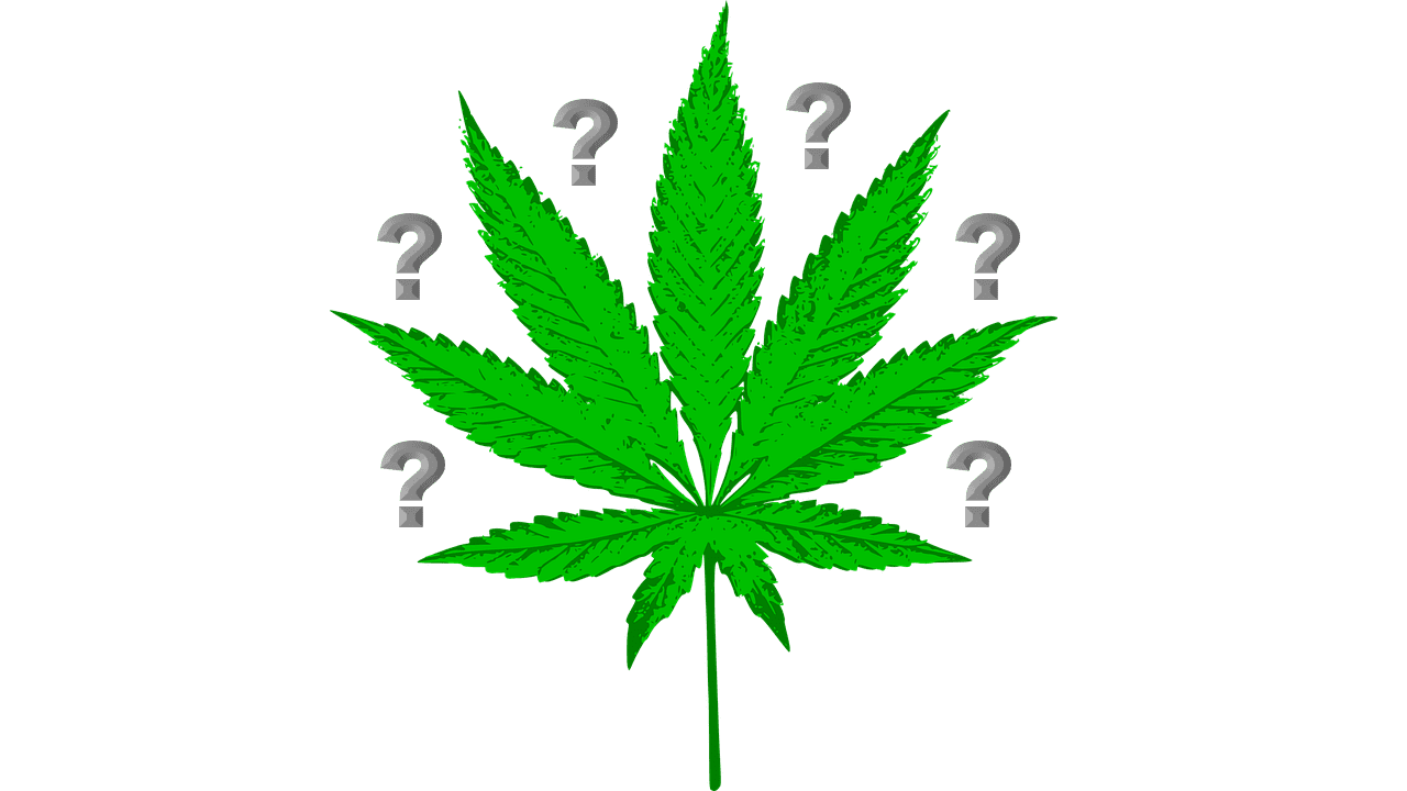 How Much Do You Know About Marijuana?