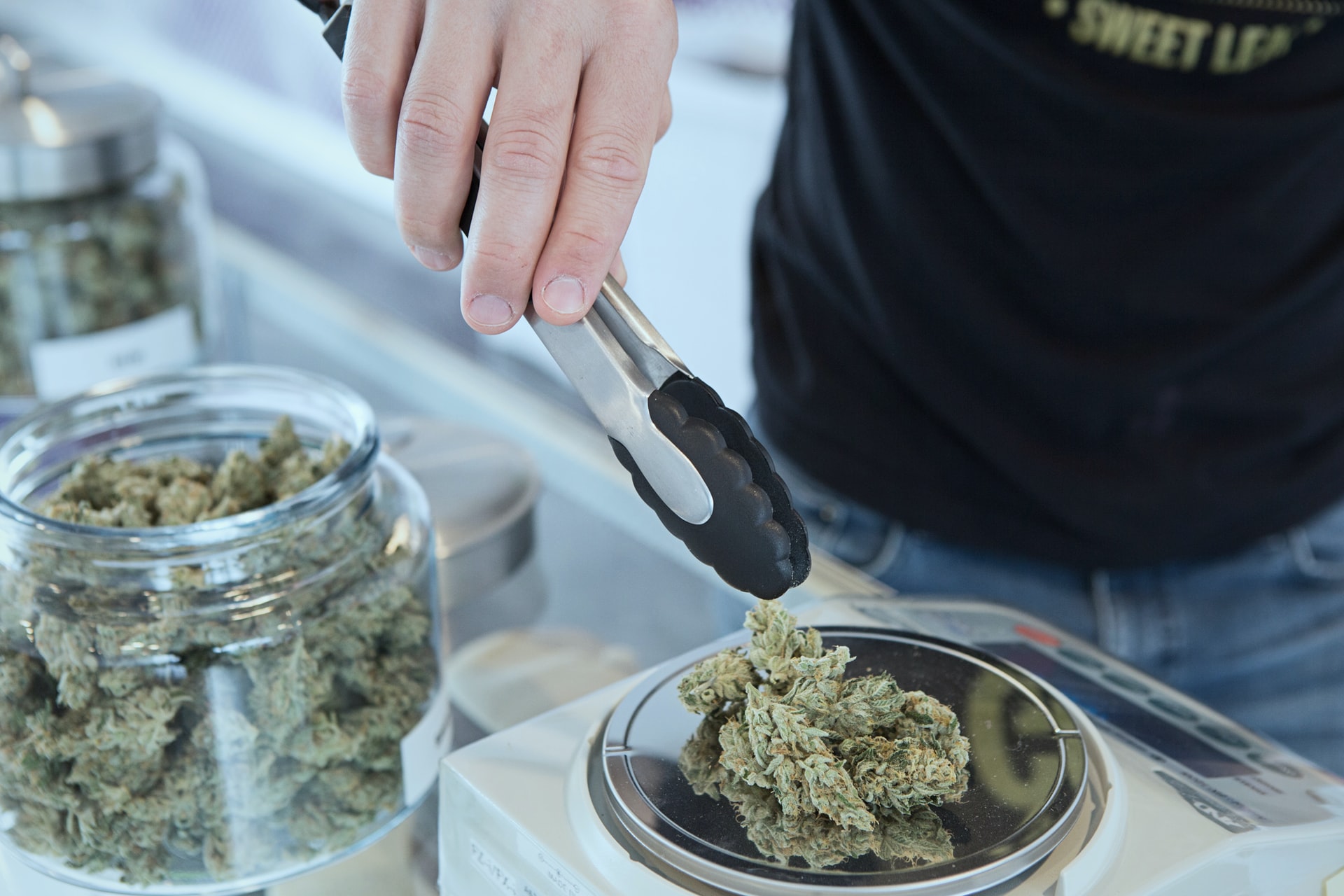 indica marijuana being weighed at a dispensary
